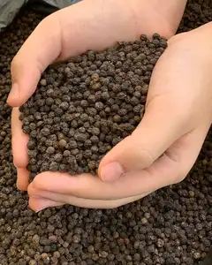 VIETNAM BLACK PEPPER 550G/L 500G/Lベトナムの乾燥ブラックシードを大量に機械で洗浄ベストセラー