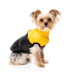 East Harlem Veste d'aventure confortable pour chiens Vêtements recyclés pour animaux de compagnie en jaune - Product Image 1