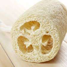 Esponjas de Lufa Naturales de Vietnam/ KATIE +84795877933 - Product Image 2