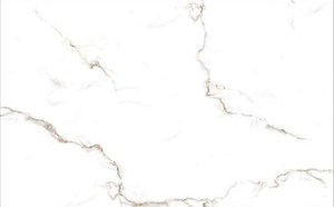 กระเบื้องเซรามิคเคลือบเงามันวาวขนาด200x300มม. ทันสมัยมีดีไซน์ที่น่าสนใจสำหรับรับประทานอาหาร - Product Image 5