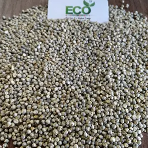 Semillas de mijo verde, Bajra, mijo, Bajra, para la exportación