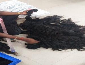 Cabello humano de templo indio, pelo indio sin procesar rizado y ondulado virgen, pelo virgen de la India, precio al por mayor 100% - Product Image 5