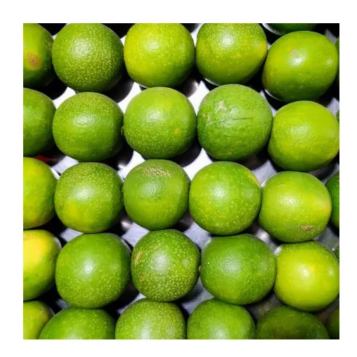 2021 Bulk Top Grade Newest Crop Fresh Lemon / Fresh Lime