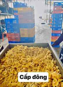 JACKFRUIT CONGELÉ DE QUALITÉ SUPÉRIEURE SUCRÉ EN GROS DU VIETNAM 2021 - IQF Jackfruit - Product Image 6