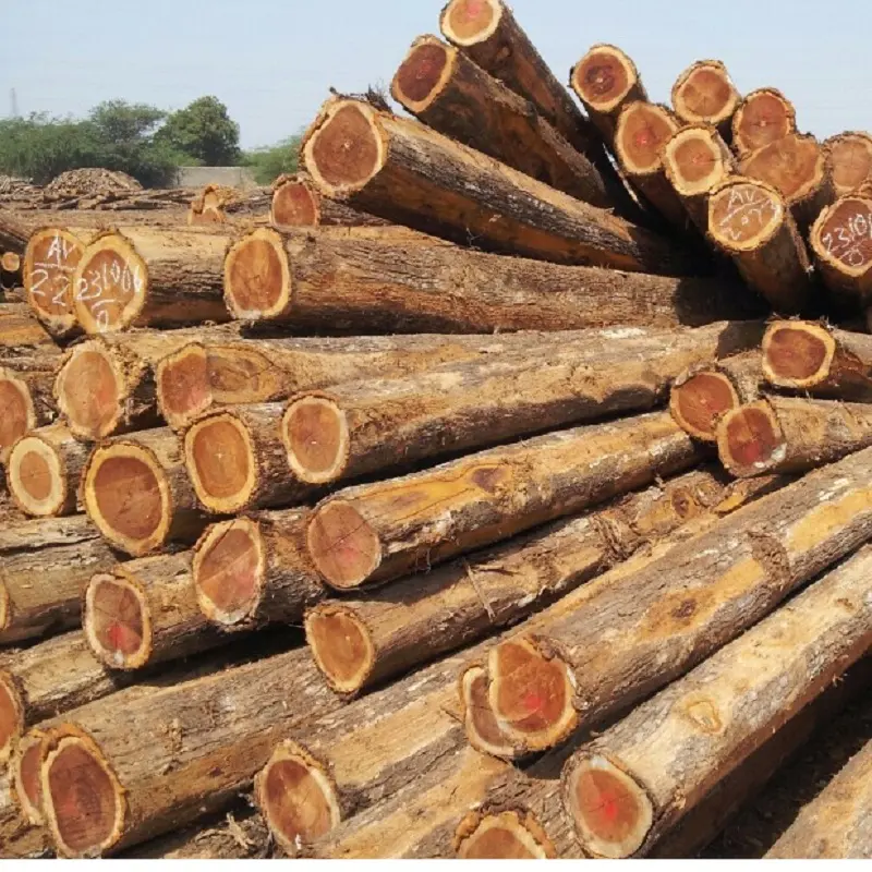 Troncos de madera de teca/madera serrada