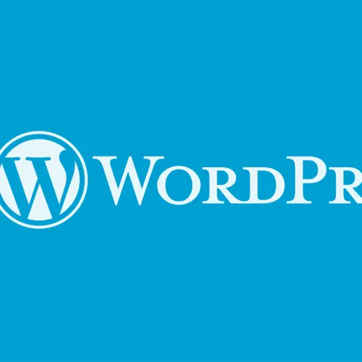 خلق أفضل ومبتكرة WordPress تصميم وتطوير مواقع الويب