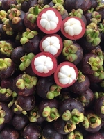 100% Witte Pulp Mangosteen Uit Vietnam Groothandel-Ms Kio Hyunh + 84 34 375 8904