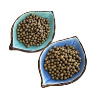 Filtre à eau en céramique dorée antibactérien avec capacité de 100g/500L, productivité de 1000L/heure, adoucissement et dessalement