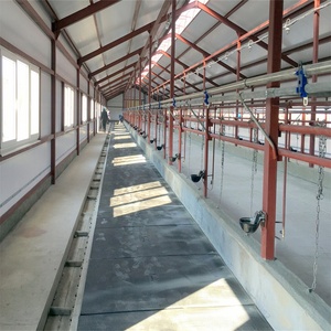 Kinh Tế Mở Loại Gà Thịt Gà Trứng Gà Gà Mái Gia Cầm Cấu Trúc Trang Trại Đổ Thiết Kế - Product Image 4