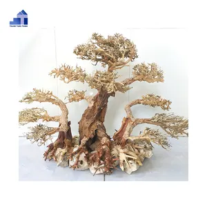 Bonsai acquatico per la decorazione dell'acquario: + 84 961005832