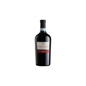 نبيذ أحمر إيطالي valpolice ella classico Le Bine DOC 750 مللي