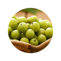 Fijnste Indiase Kruisbessenextract (Amla Fruitpoeder) Extractie Van Wilde Teelt Oplosmiddelen-Voor Gezonde Voeding Cosmetica Direct India