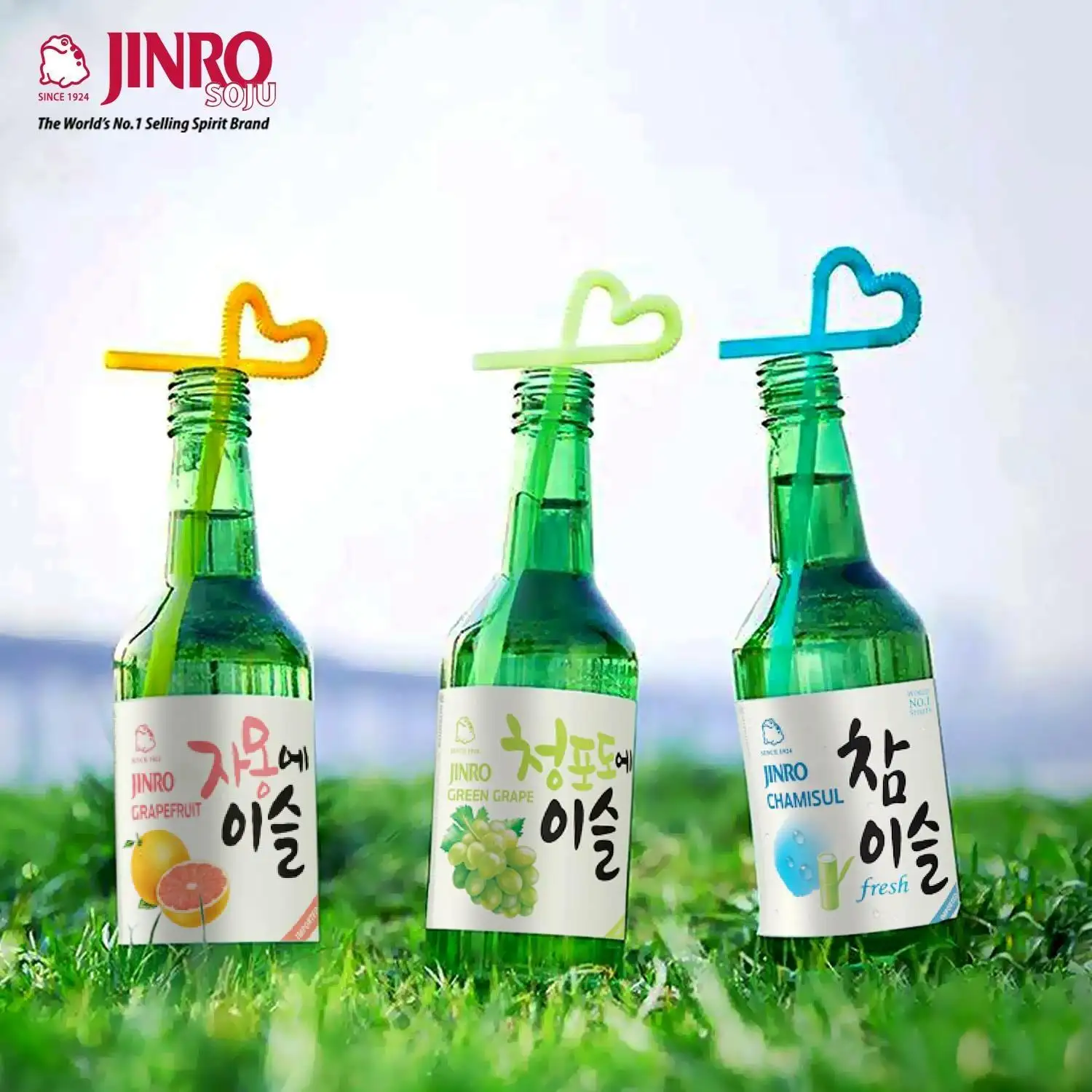 Vin coréen nutritif de riz à base d'alcool, avec 13-16.9 alcool et divers parfums, ml