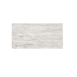 60x120cm กระเบื้องเซรามิกขัดพื้นเคลือบดิจิตอลสีเบจธรรมดา - Product Image 2