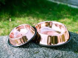 การออกแบบที่ดีที่สุดโดยกษัตริย์ชามนานาชาติสำหรับสุนัขขนาดเล็ก,11.4 '',ลูกสุนัขชามป้อนน้ำร้อนขายใหม่หลายขนาด - Product Image 5