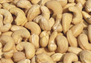 Nueces de Anacardo de Vietnam W320 W240 Empacadas al Vacío / en Lata / en Envase Metálico para Venta. Contacte a la Sra. Doris +84 352542206 - Product Image 2
