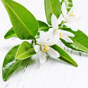 Hidrosol do neroli orgânico e puro, melhor qualidade, 100%, em massa, preços atacados de aromaaz internacional