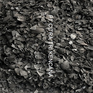 COCONUT SHELL CHARCOAL BETTER QUALITY THAN VIETNAM CARBON ACTIVATED CARBON 80 FIXED CARBON IN Chestermere ALBERTA CANADA - Product Image 5