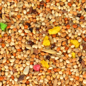 Suplemento de comida para mascotas Quik Budgie Food 400g - Product Image 3