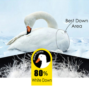 Chaqueta de invierno Unisex de calidad superior, cuerpo informal de manga larga equipado con edredón de pato, cierre de cremallera, último modelo - Product Image 6