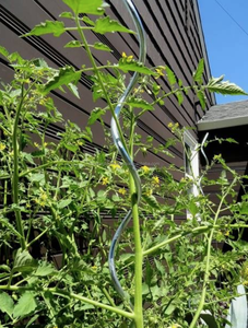 JINZHOU Usine 6.0mm 1800cm Argent Fil Plat Reliure Treillis Tomates Technique Électro Galvanisé - Product Image 5