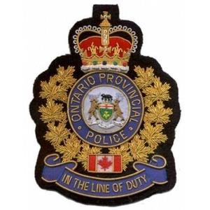 Venta al por mayor de fábrica Servicio de diseño de personajes Requisito personalizado Insignias de Singapur - Product Image 6