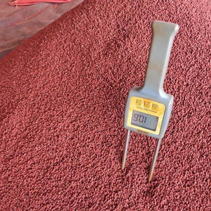 Hạt Giống <span class=keywords><strong>Anato</strong></span> Chất Lượng Cao Giá Thấp Xuất Xứ Việt Nam/Hạt Giống Annatto Đất Roucou Achiote Hạt Giống Mang Theo/Shyn Tran + 84382089109 - Product Image 3