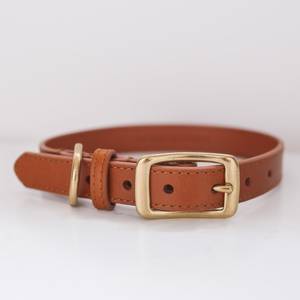 Dog/Cat <b>Leash</b> - AQUA MINT - Plaited - Product Image 1
