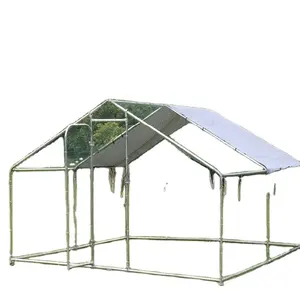 Poulet RUN, 2M X 3M, nouveauté