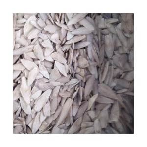 Arêtes de seiche minéral, os pour vos oiseaux et reptiles, riche en minéraux et en Calcium - Product Image 4