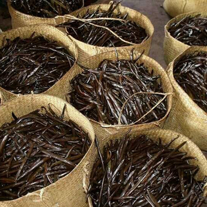 Fèves de vanille séchées en vrac 25 kg, vente chaude au meilleur prix pour le saké - Product Image 1