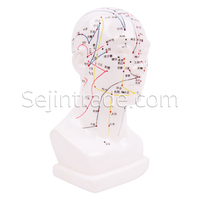 Modèle anatomique humain d'aiguille d'acupuncture avec tête en caoutchouc 22 cm pour cliniques de massage et médecine chinoise (Moxa) - En promotion