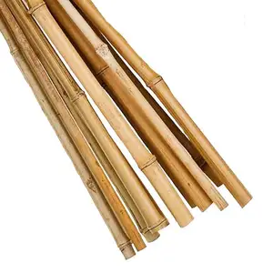 Eco Vriendelijke Bamboe Stakes/Bamboe Canes/Bamboe Stakes Voor Tuin Met Hoge Kwaliteit En Goedkope Prijs Voor Bouw in Vietnam