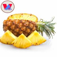 Iqd Bevroren Ananas/Bevroren Snijden/Brokken Zeer Goedkope Prijs