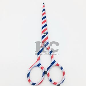 Vente en gros Ciseaux de coiffeur japonais en acier inoxydable Nouveau design Ciseaux pour coiffeur à pointe pointue pour salon de coiffure - Product Image 4