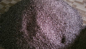 Cáscara de anacardo/prueba de anacardo para extracto y cultivo de tanino 2025 listo para enviar gránulos de cáscara de anacardo - Product Image 4