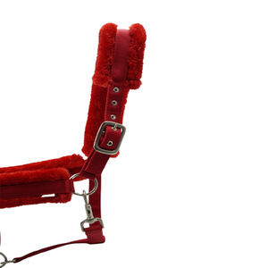 Polipropileno PP Halter de alta calidad, fabricante a granel, proveedor, compra al mejor precio - Product Image 2