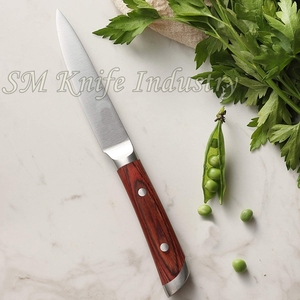 Cuchillo de cocina alemán de acero forjado a mano, utensilio de chef personalizado con Funda de cuero (Smk2007) - Product Image 5