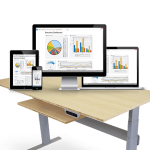 บริษัทพัฒนาซอฟต์แวร์แดชบอร์ดชั้นนำในอินเดีย | บริการออกแบบและพัฒนาแดชบอร์ดที่ได้รับรางวัลโดยWebroot Infosoft - Product Image 2