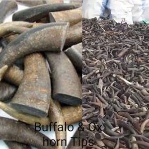 Punta de cuerno de vaca/buey y búhos, fabricación de la india, negro y marrón - Product Image 4