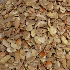 Ogbono Nut, Para Nut, Paradise Nut, Pecan - Product Image 3