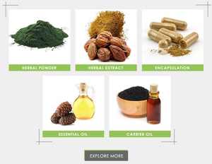 Tribulus Terrestris 100% puro y Natural, extracto en polvo de fabricante de alta calidad - Product Image 5