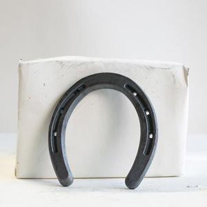 Décoration de table presse-papiers en fer à cheval en laiton - Product Image 4