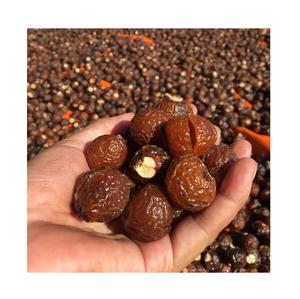 ¡Caliente! ¡Caliente! Soapnut-jabonera a granel, saponina, buena calidad - Product Image 2