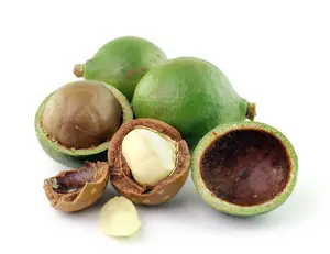 Pure And Natural Kukui Nut Oil Exporter - Cold pressed Carrier oil Manufacturer with Top Quality