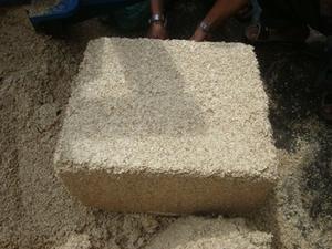 Toptan en iyi kanatlı hayvan tavuk mısır koçanı yemek at domuz yemi/Ms.Thi Nguyen + 84 988 872 713 - Product Image 6