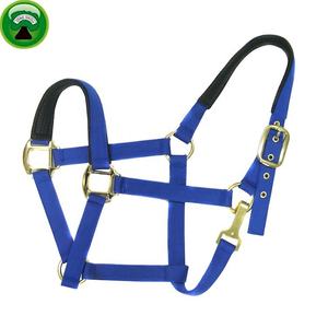 Controlador de alta resistencia PP horse halter, venta al por mayor - Product Image 2