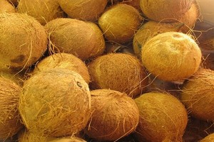 El mejor precio, fruta seca de coco natural, bocadillo, anuncio entero probado dulce, Proceso seco, embalaje a granel - Product Image 6