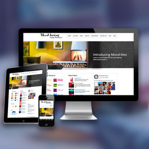 Top One Page Websites Design and Development Company in India | Award Winning Website design and Development Services by Websoot - Product Image 4