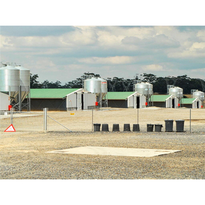 Easy Clean Chicken Hens <strong>Cages</strong> Boiler Chicken Coop - Product Image 2